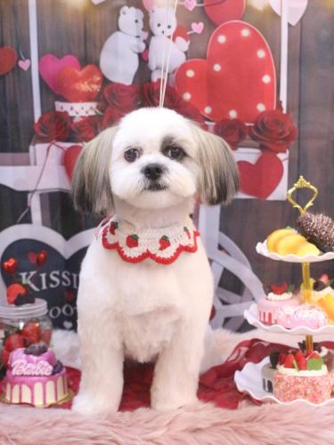 20250224クルルくん